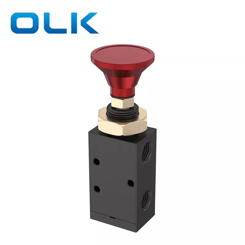 Subitis Desine Valve